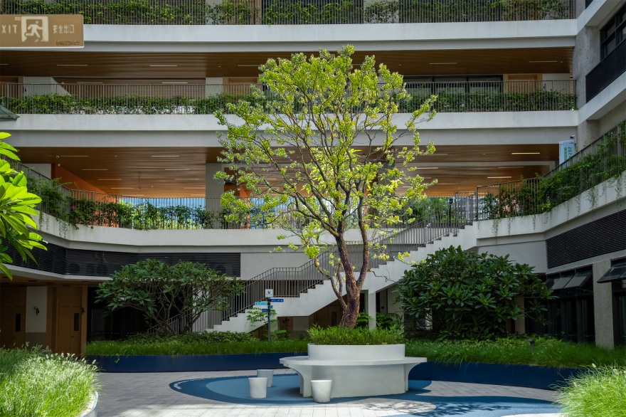 深圳市宝安中学(集团)海天学校丨中国深圳丨HILL 希尔景观-78