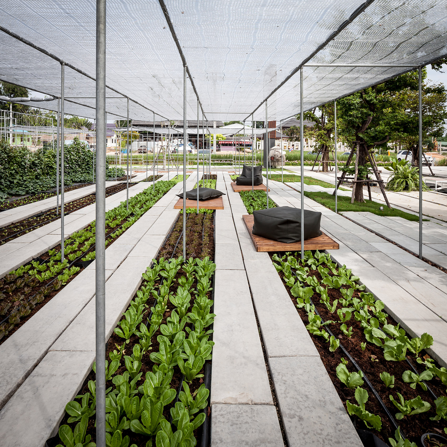 都市农场，泰国 / Integrated Field Co.,Ltd.-71