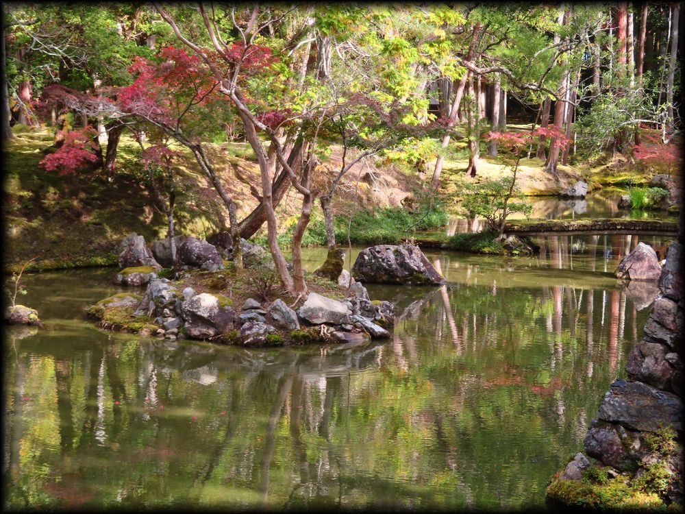 苔寺（西芳寺）的苔庭（黄金池,金刚池）丨日本京都丨梦窗疎石-19