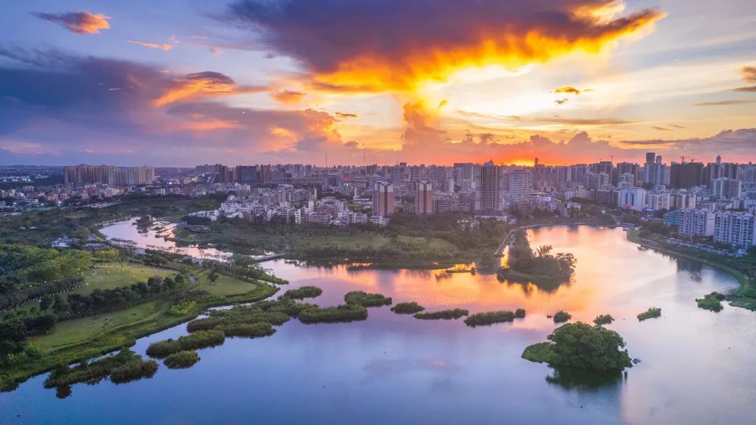 海口市美舍河凤翔湿地公园丨中国海口丨土人设计-86