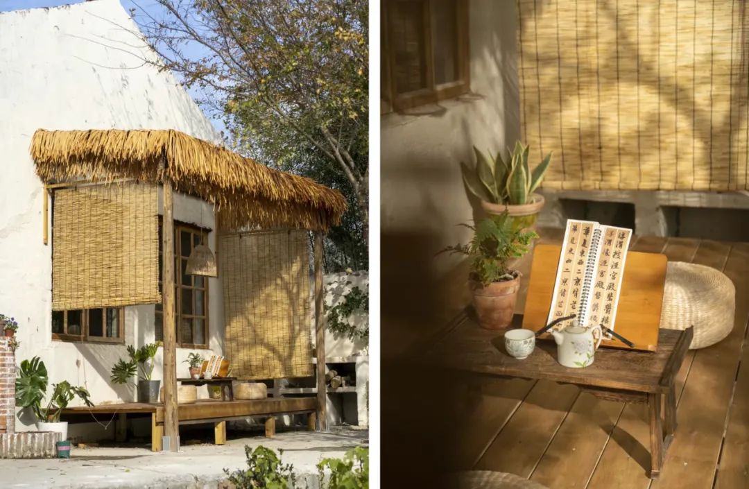 低成本梦幻小院改造丨中国南京丨思文,Ssisy,溯溯-88