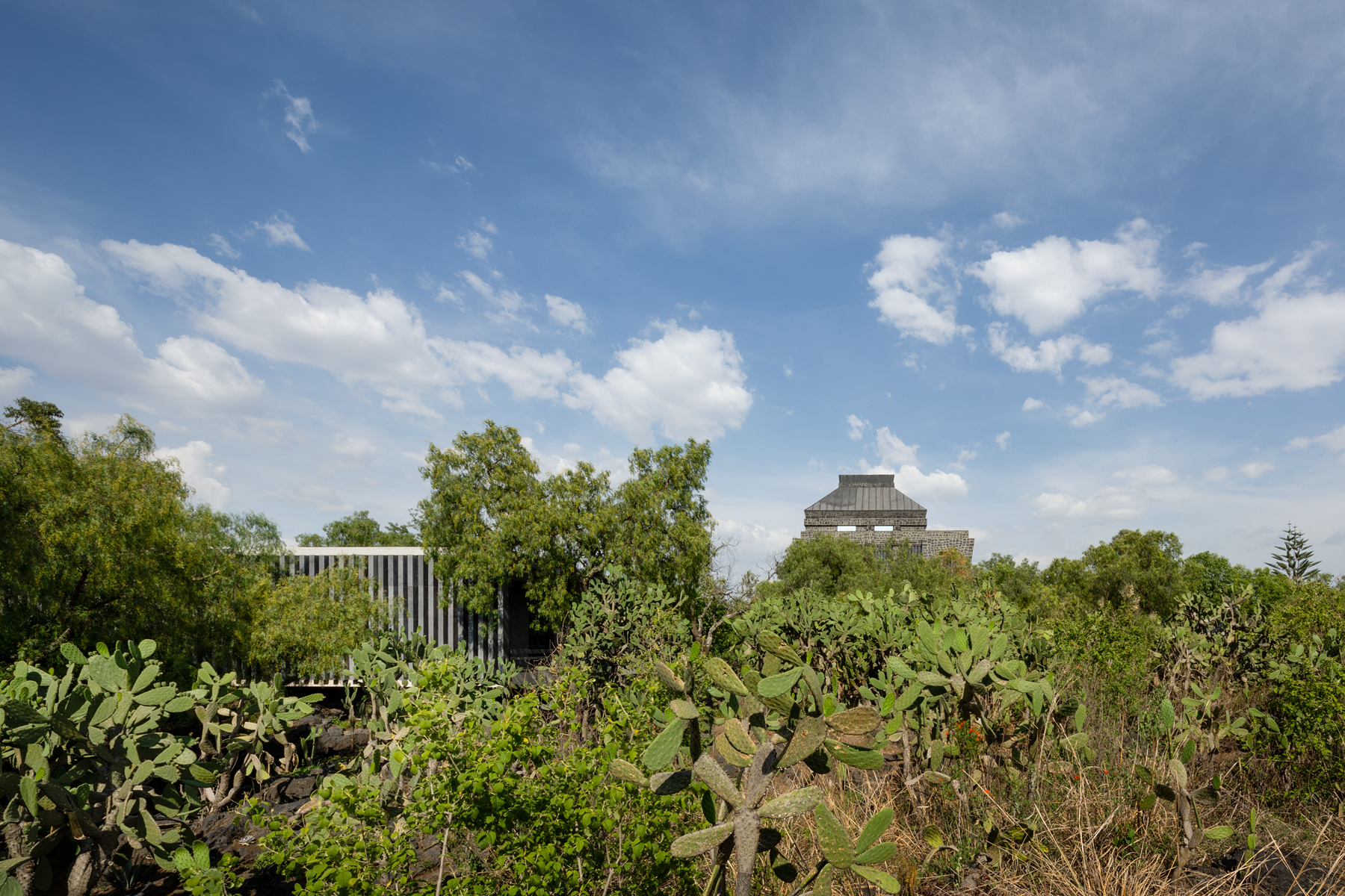 Anahuacalli 博物馆丨墨西哥墨西哥城-2