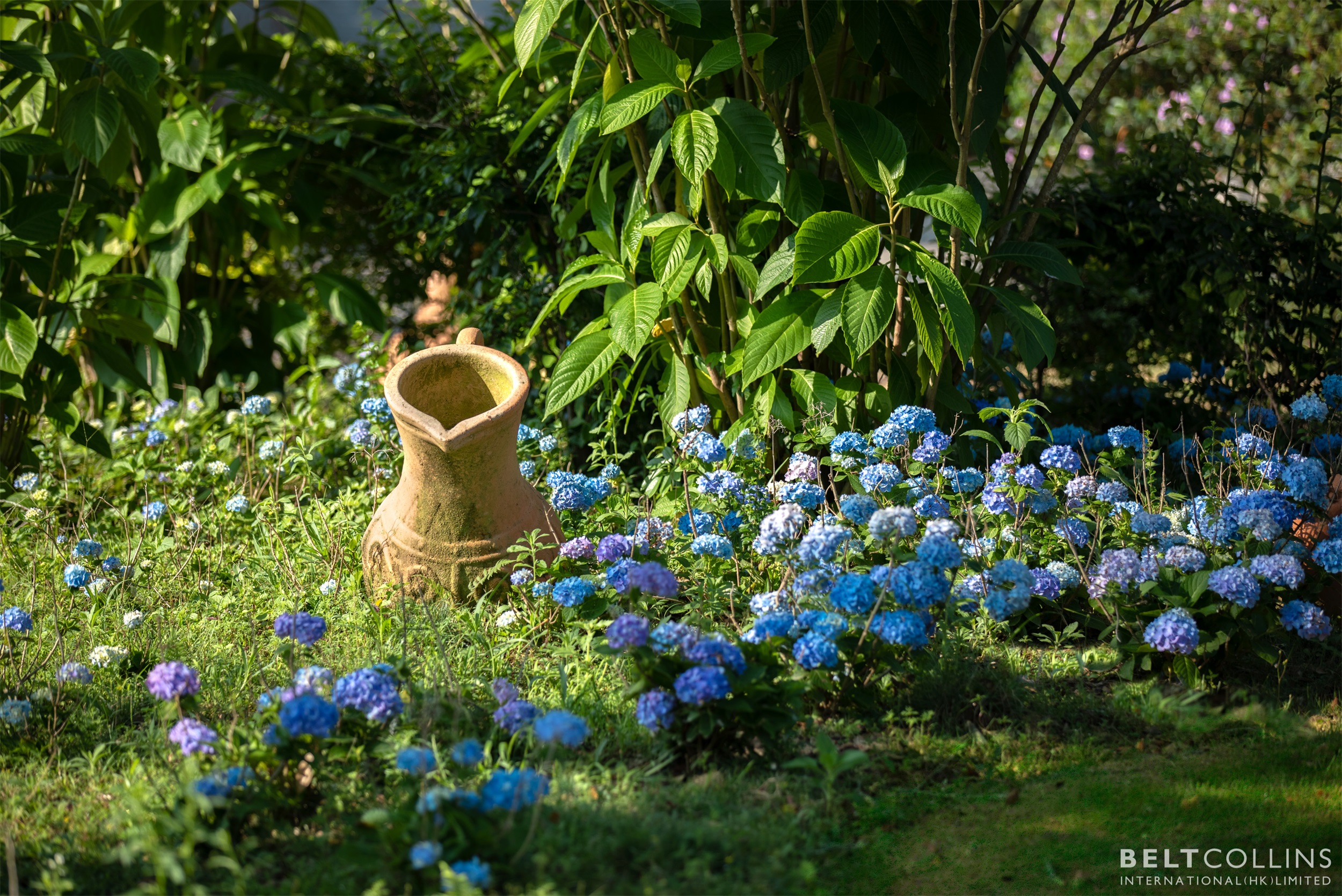 梅州雁山湖国际花园度假区丨中国梅州丨贝尔高林国际（香港）有限公司-64