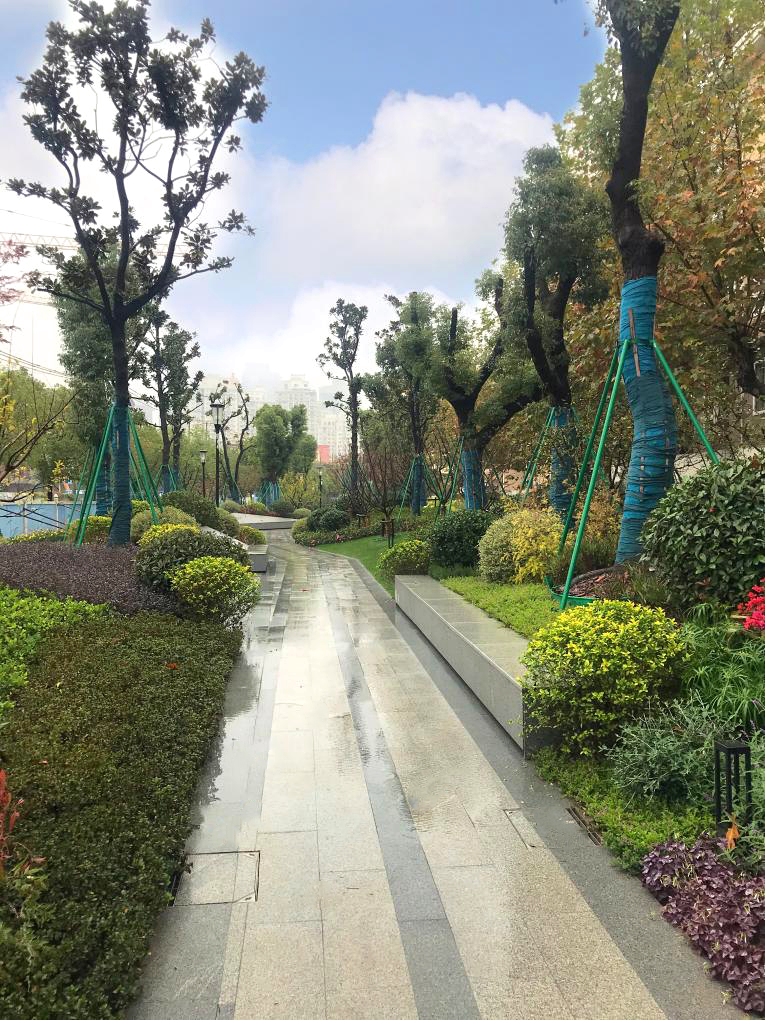 颜值爆表！长宁区有一处街心花园建成开放-12