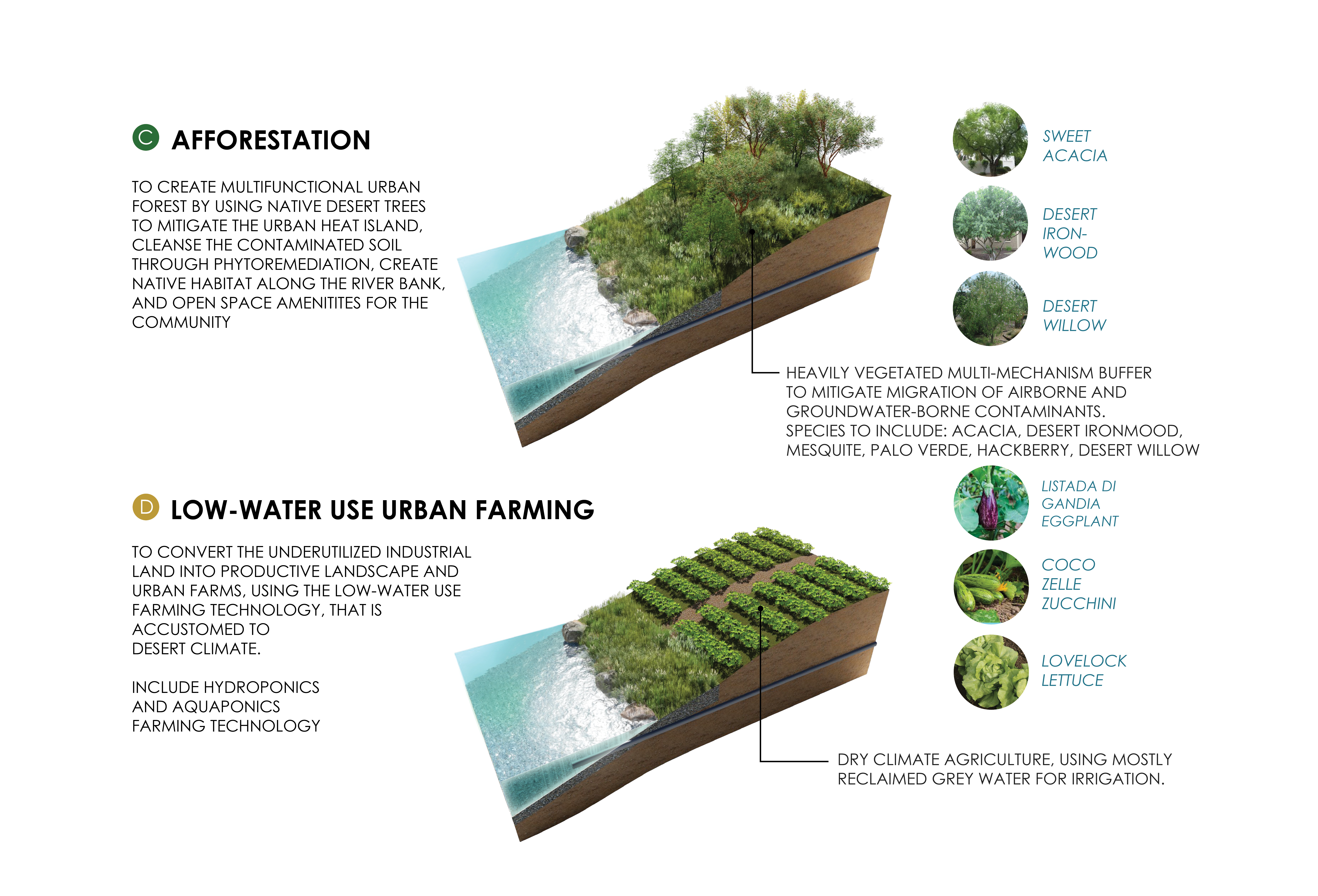 RIO ECO2 VENTURE · 可持续农业科技展示中心-16