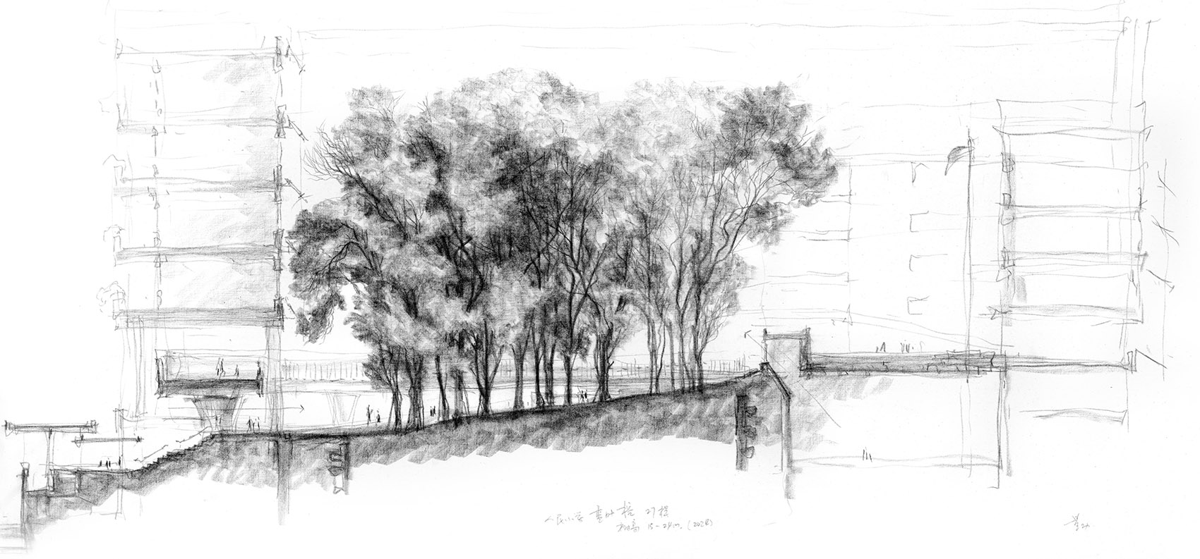 荔园外国语小学(景田)丨中国深圳丨直向建筑-13