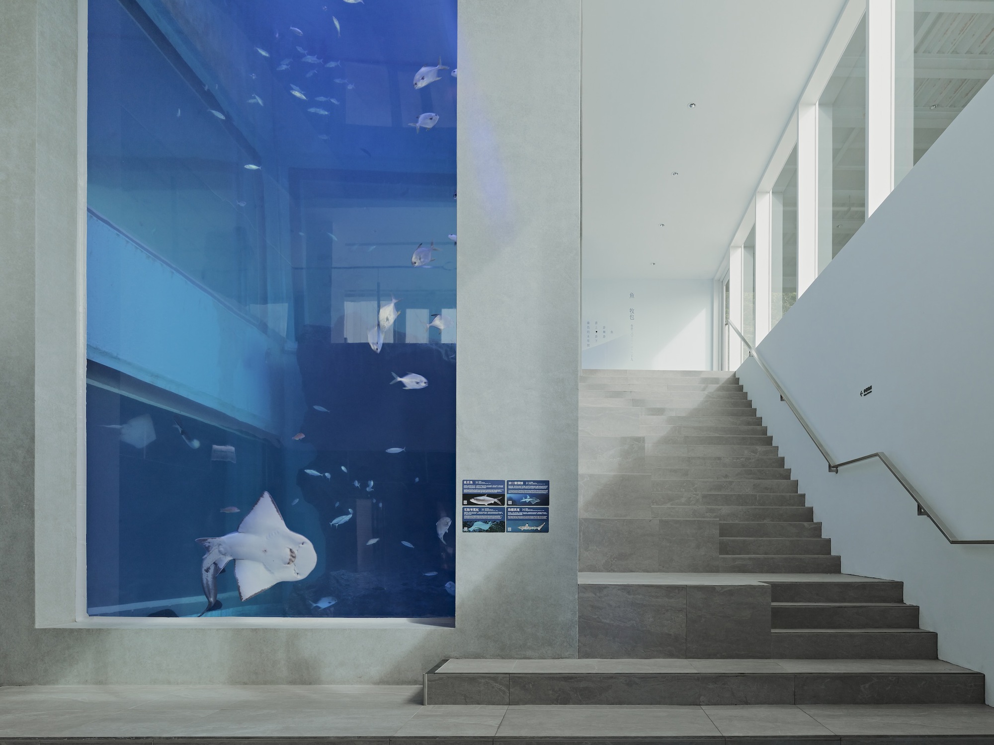 海洋博物馆丨中国台湾丨B+P Architects-16