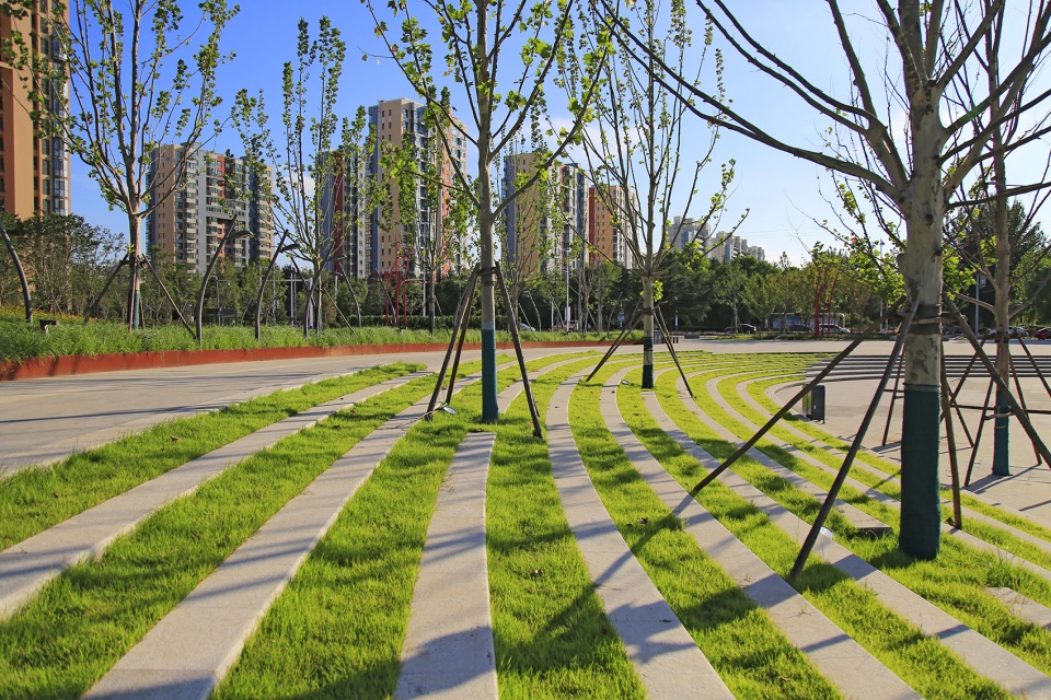 胶梦水韵(胶州三里河公园中央商务区段1标段)-125