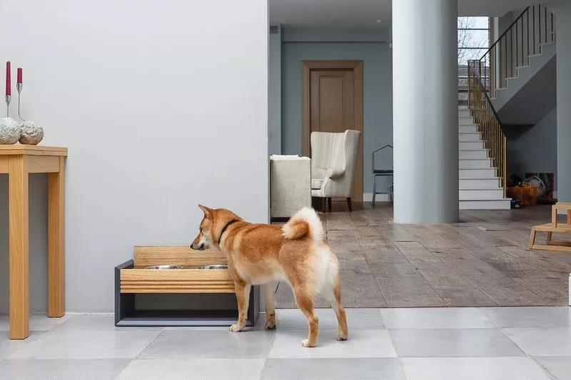 新年准备入驻新主子了？给你复制一份贴心方法-40