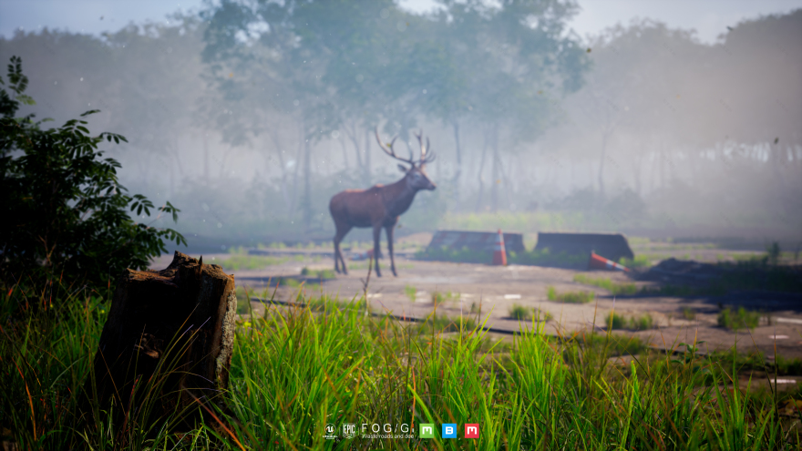 Waste roads and deer场景制作-5