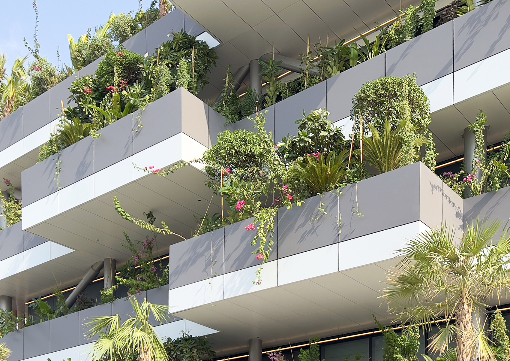 绿色拱门&2020迪拜世博会比利时馆丨阿联酋迪拜-157