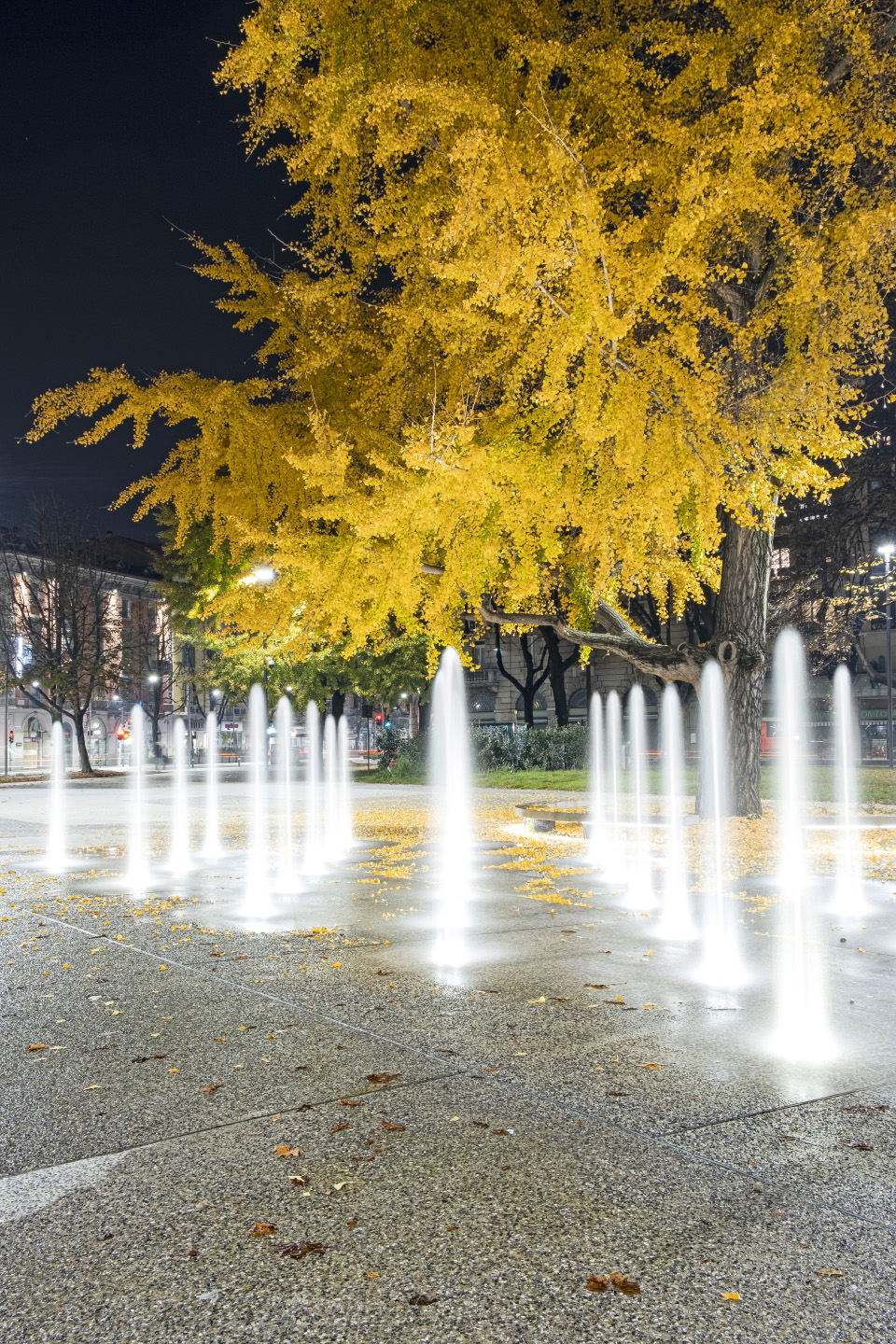 意大利贝加莫 Alpini 广场-48