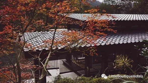 青城山坐忘森林酒店 | 一步一禅，一宿一悟的禅意度假胜地-23