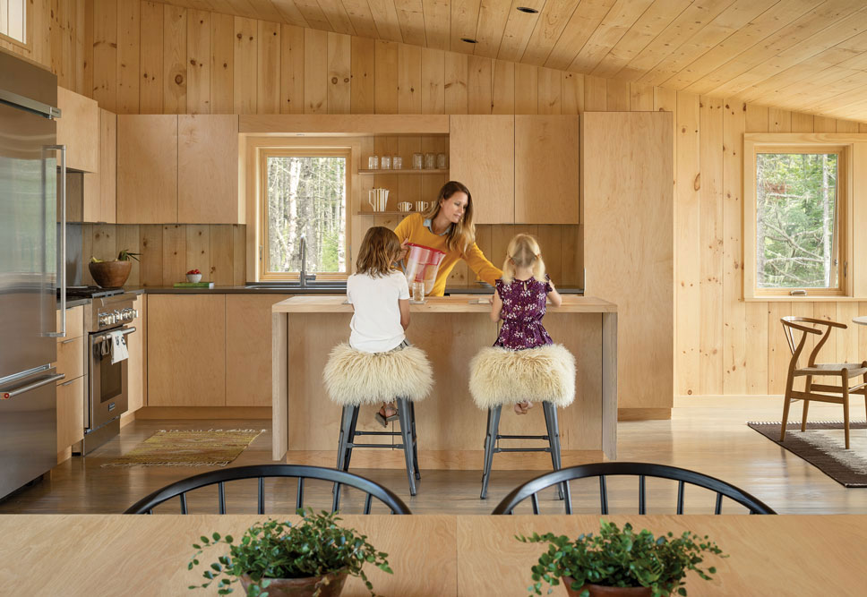 Maine 国家森林公园中的现代生态设计木屋-6