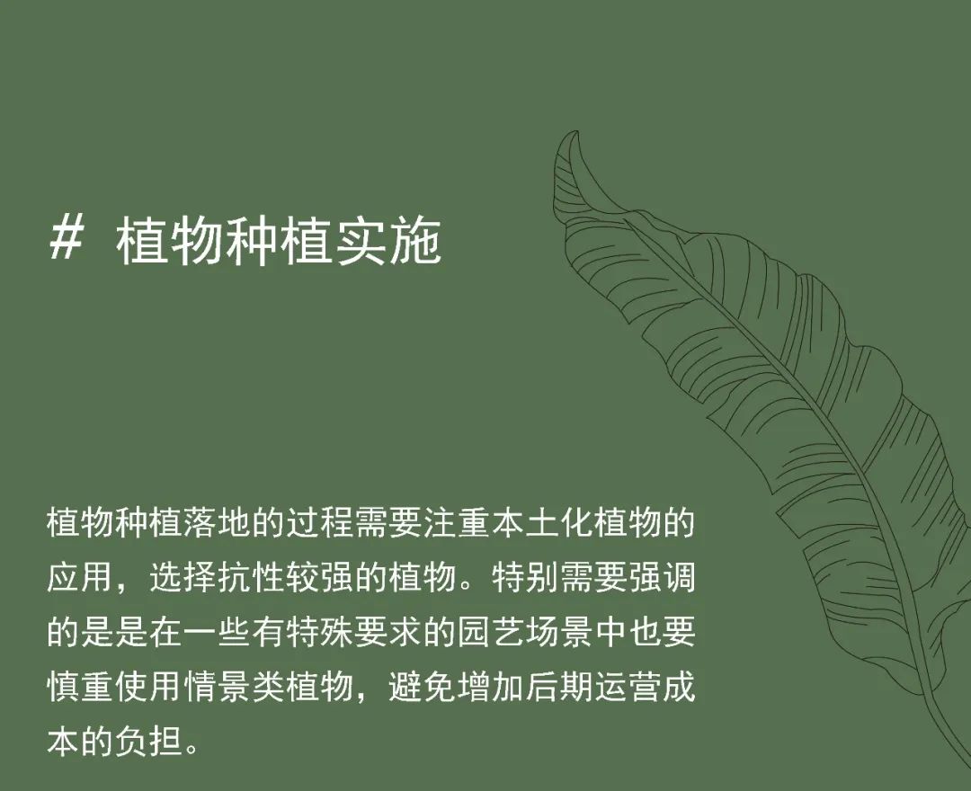 重新组合自然美 · 植物设计浅谈丨中国南京-42