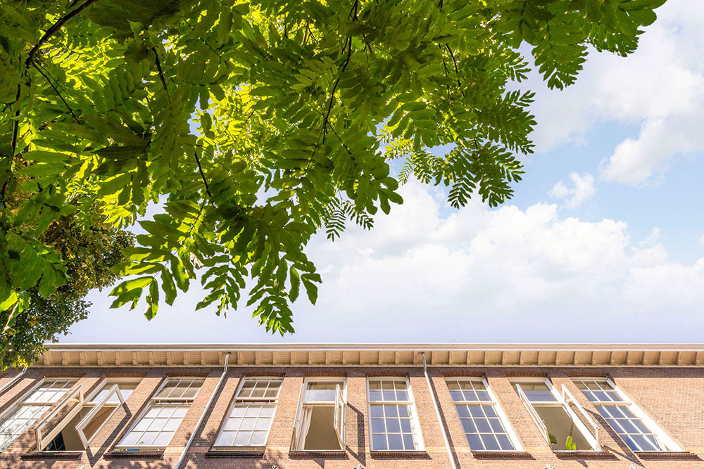 历史学校建筑改造的明亮工业风格荷兰阁楼-6