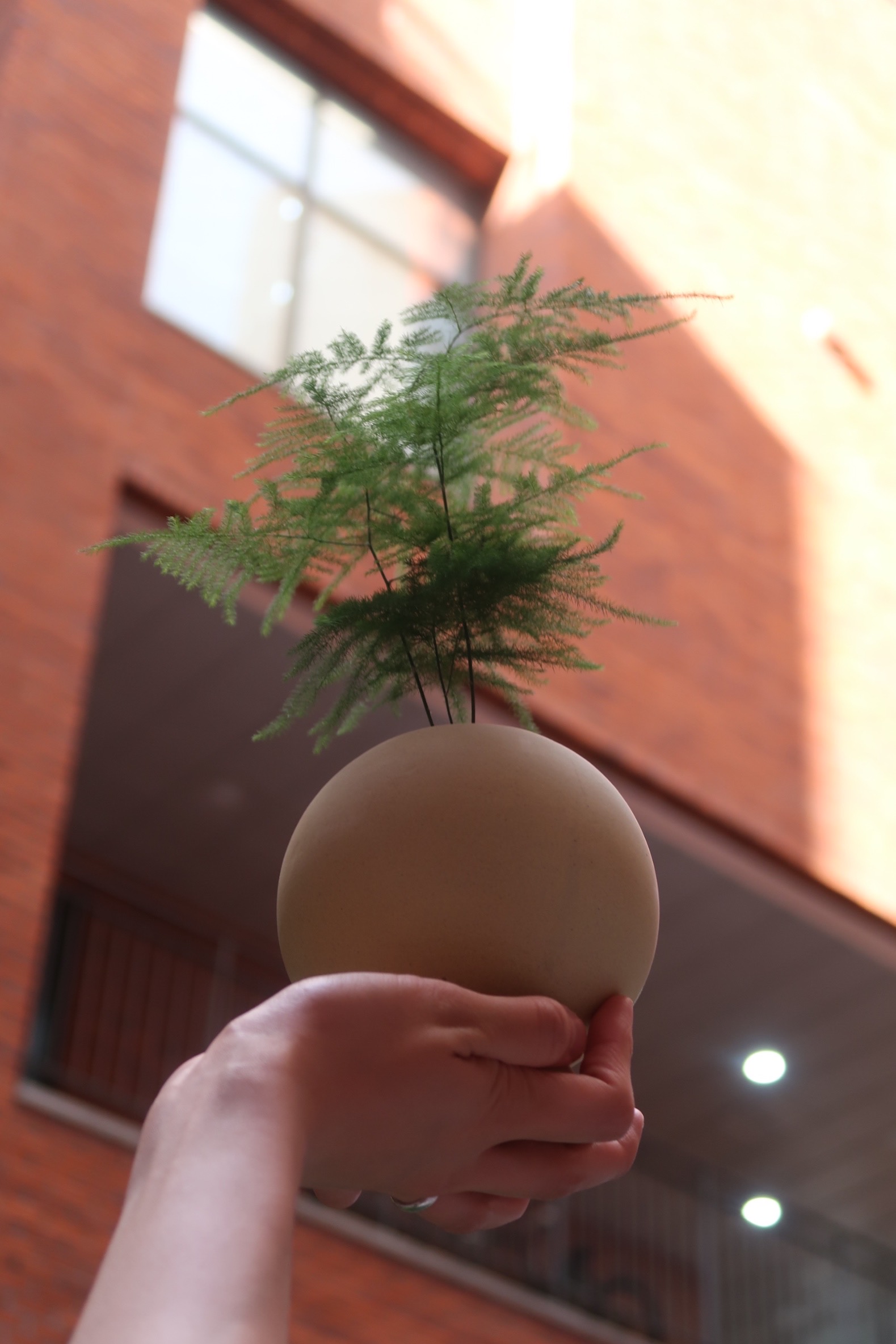 sayzero陶瓷花盆设计-10