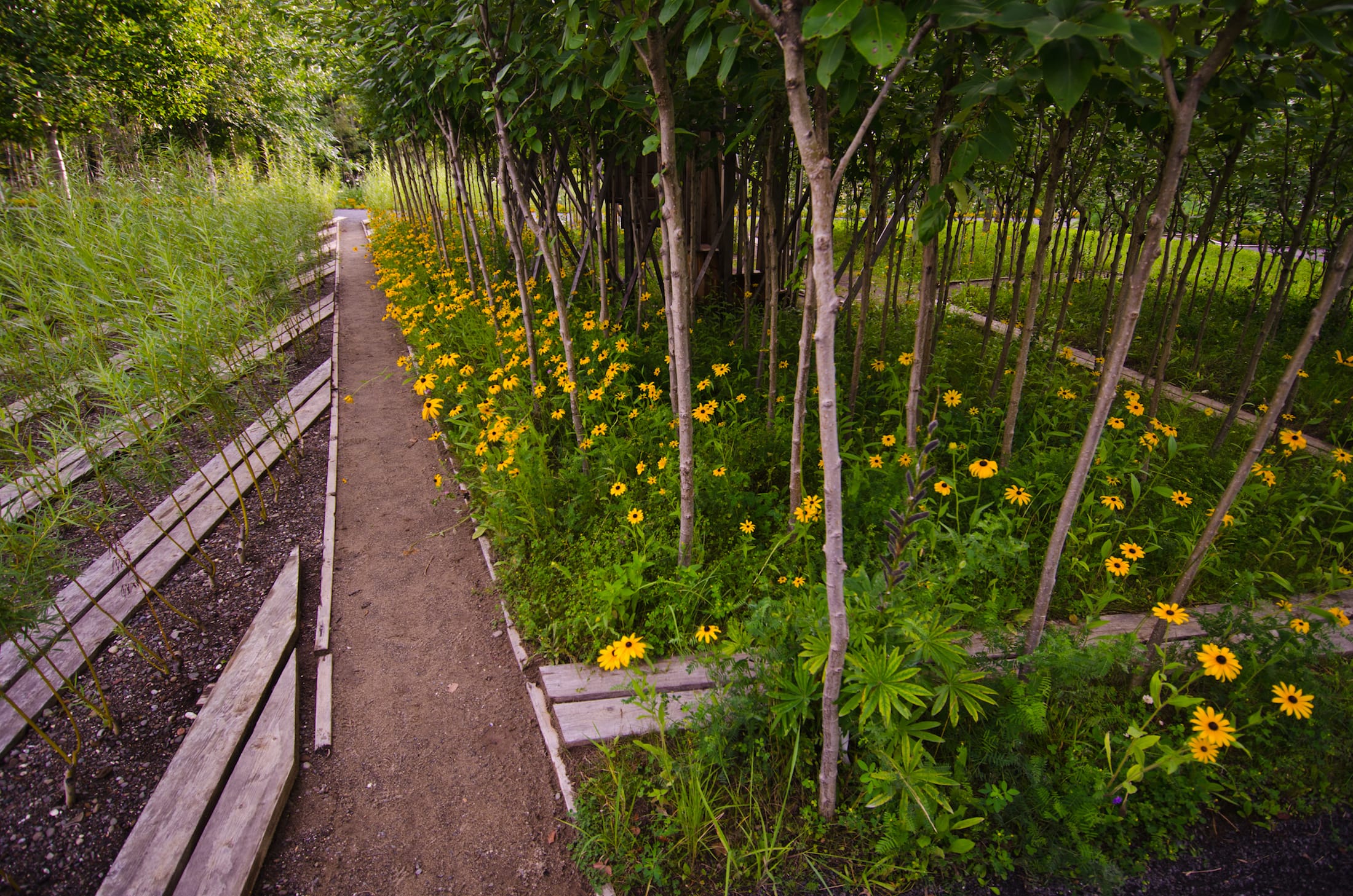 2019加拿大国际花园节（第二部分）,Reford Gardens-91