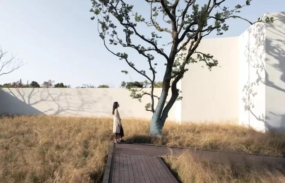 宁波奥克斯 · 繁花里示范区景观-5