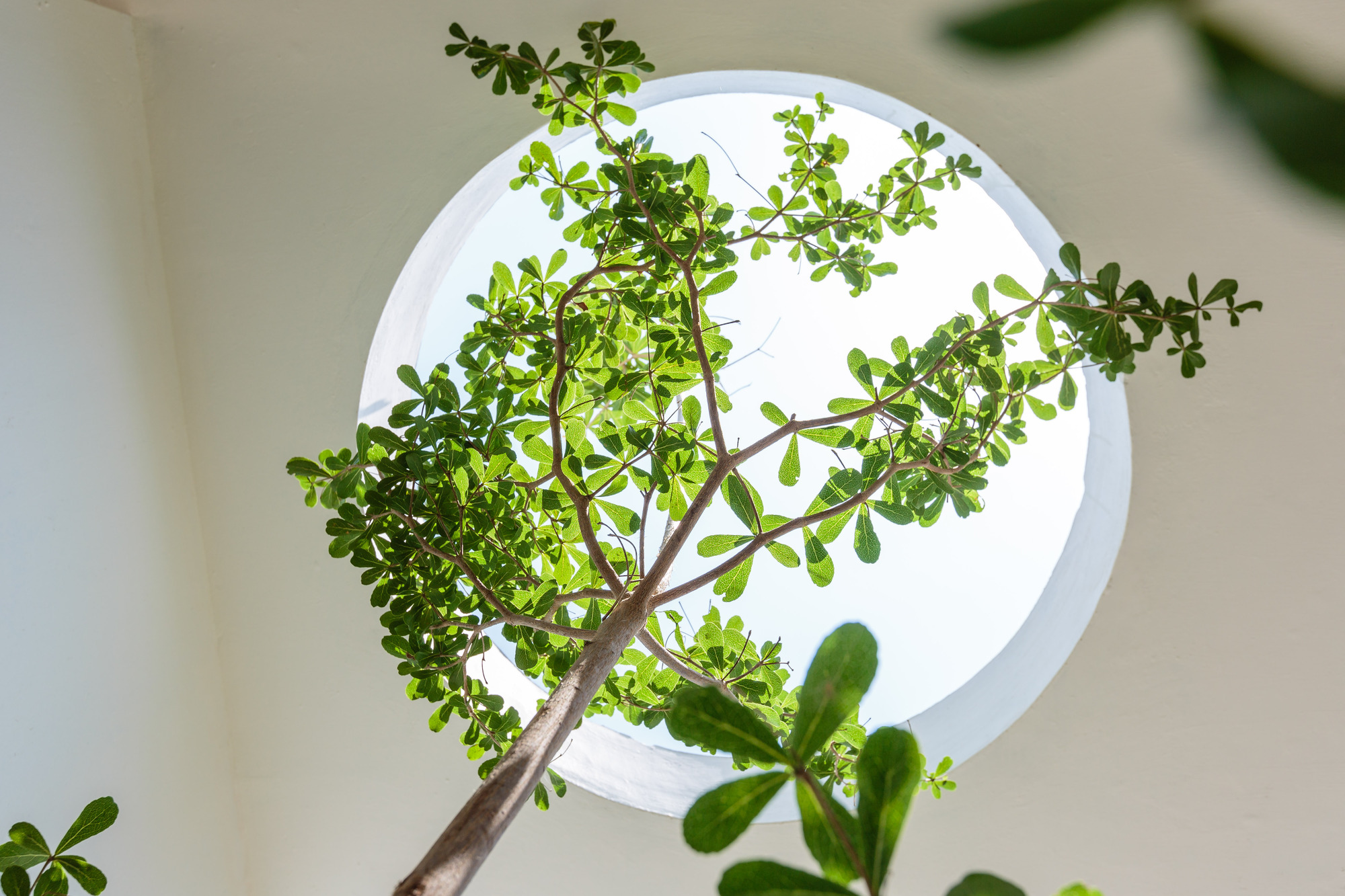 因克斯黑尔住宅-27