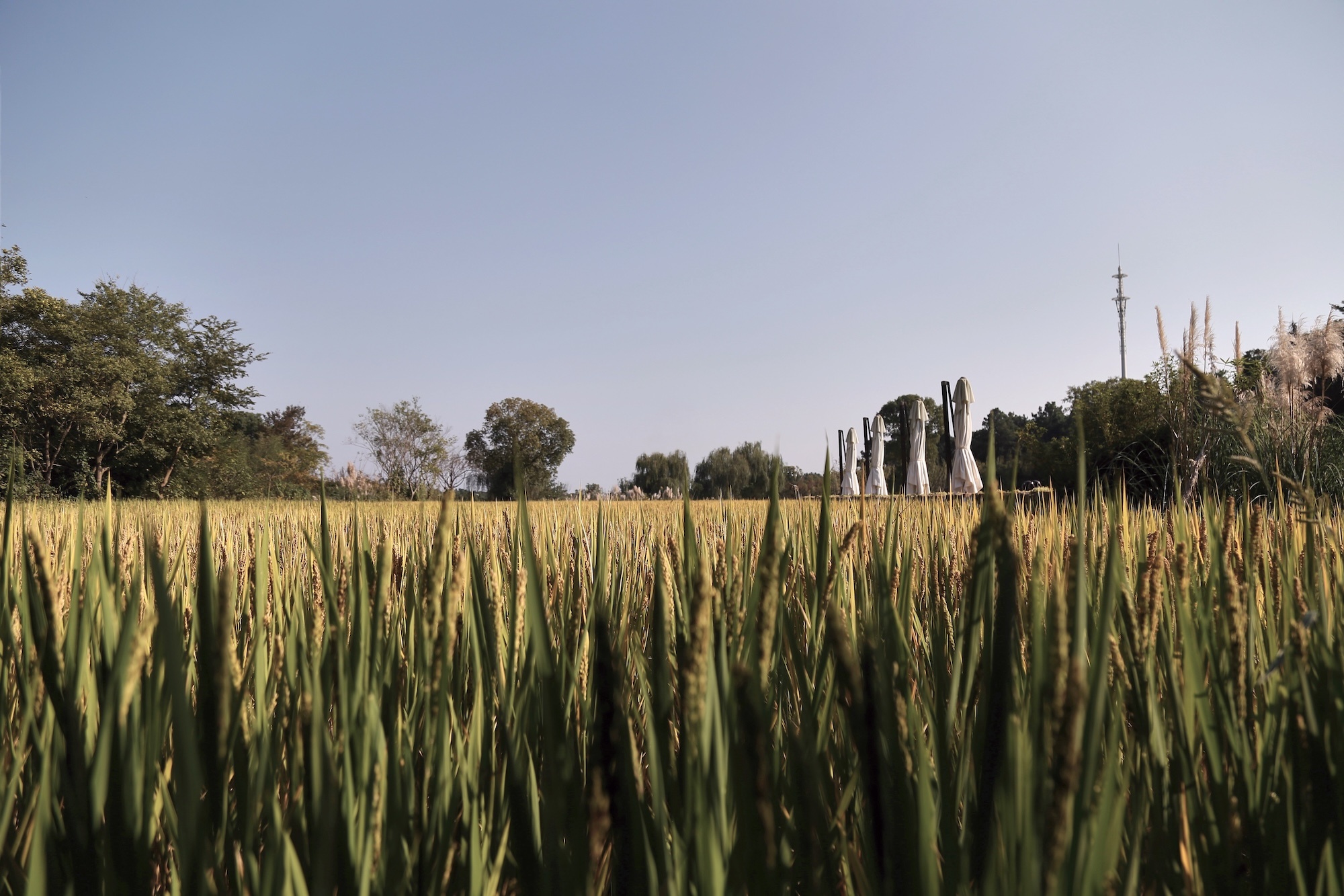 南京归来兮桠溪庄园酒店丨中国南京丨YuQiang & Partners 于强室内建筑师事务所-19