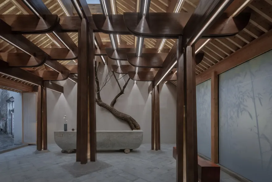 家族大厅 X·树下对真理的追寻-25