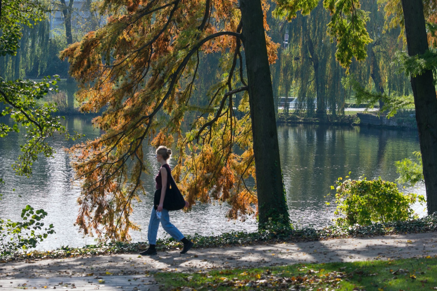 柏林北港公园 · 历史与自然的和谐交融-2