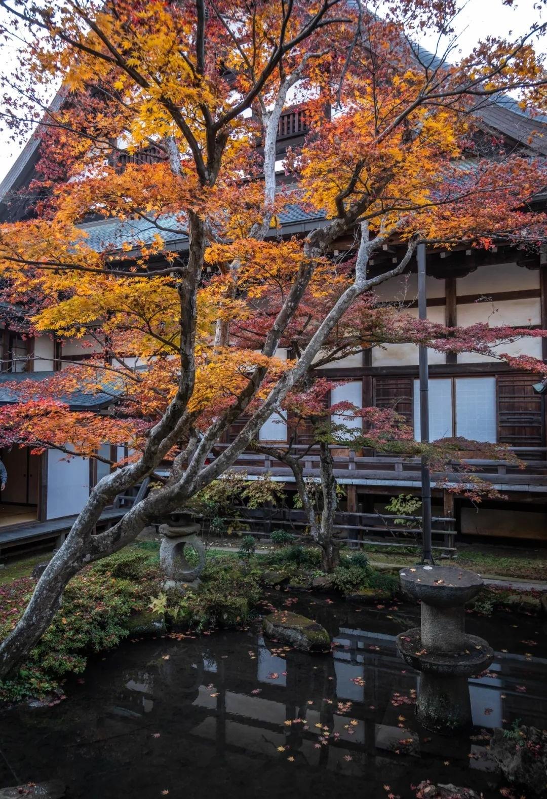 梦窗疏石·禅庭闲寂丨日本-55