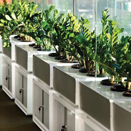 Sumitomo Perth Fitout by SPH (Scott Penn Hall Architecture + Interior Design) | Australian Interior Design Awards-1