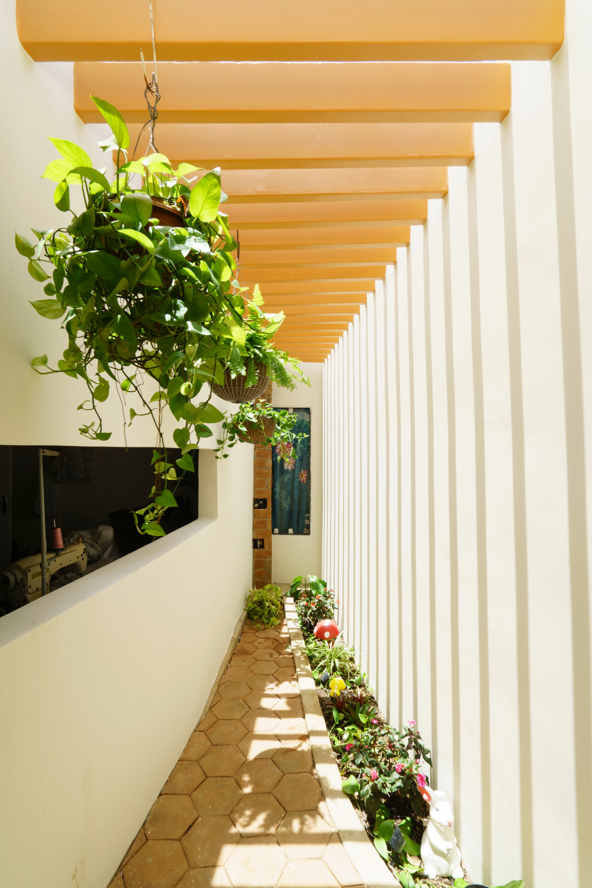 丨巴西丨Studio Zé-29