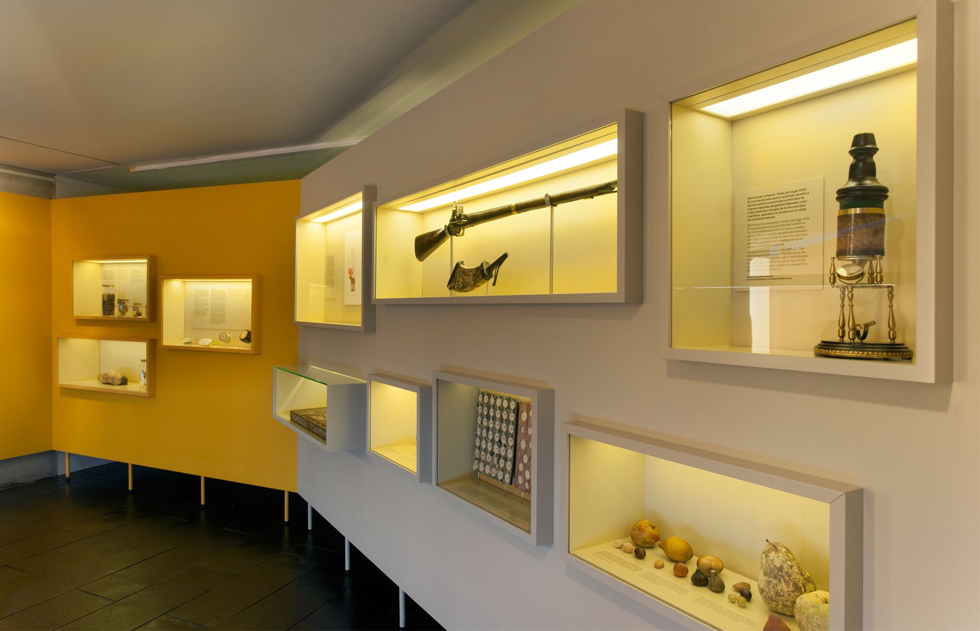 SALVADORIANA科学藏品展丨西班牙巴塞罗那丨emiliana design studio-15