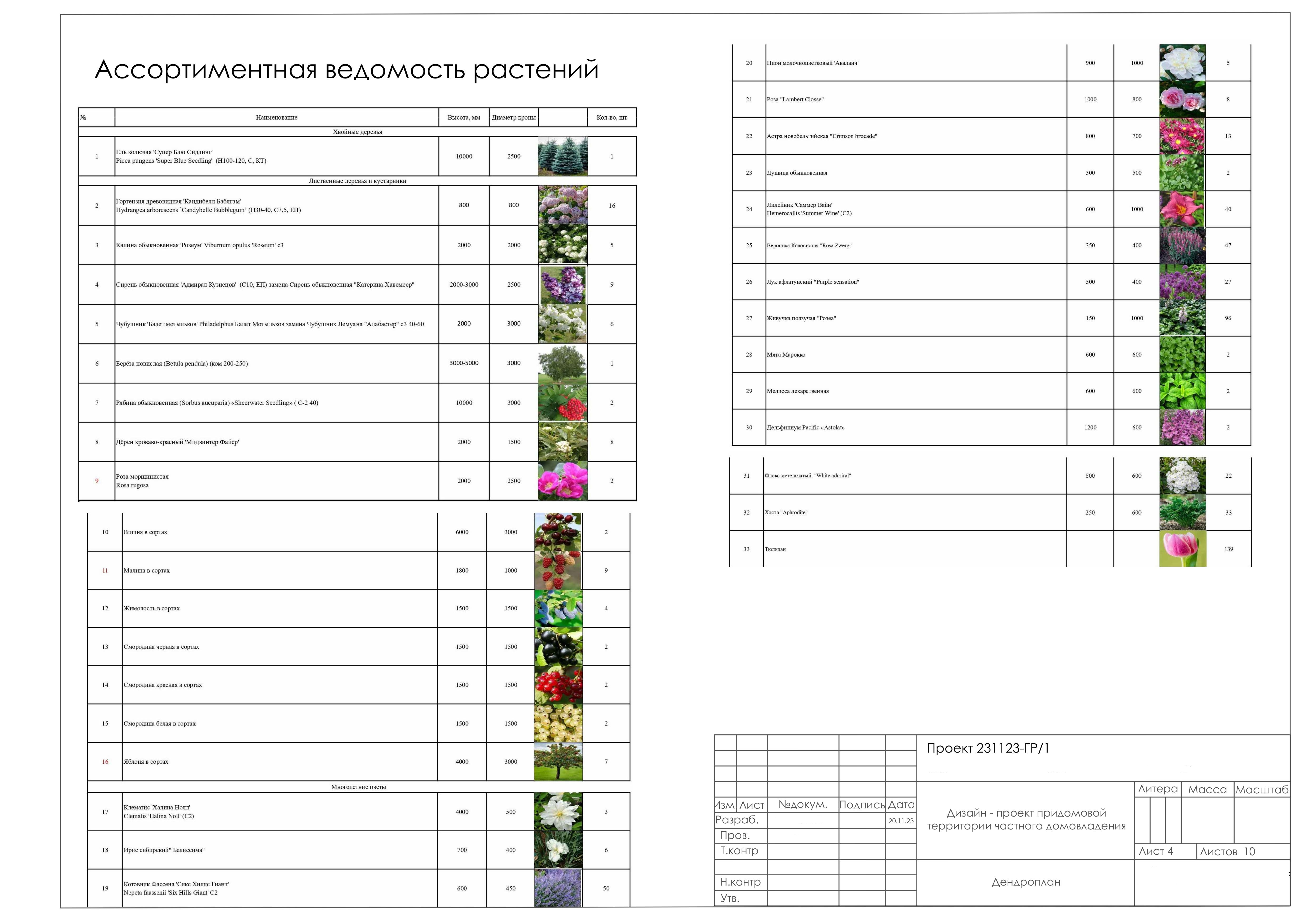 Проект Сирень-2