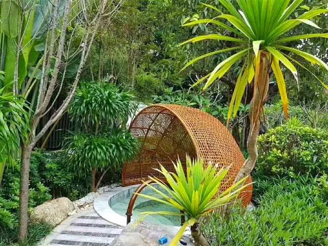 “悦”享养生,四季如“椿”:西双版纳悦椿度假酒店-14