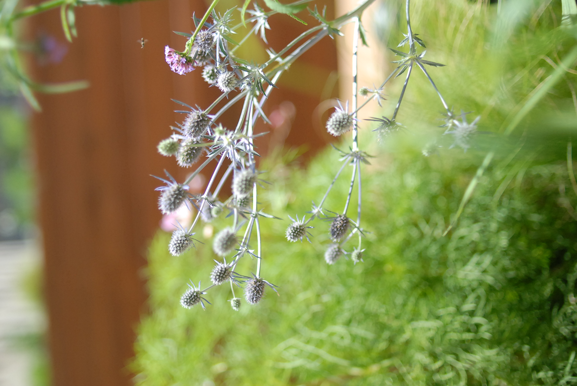 Rockefeller Center Summer Gardens | Julia Watson LLC-19