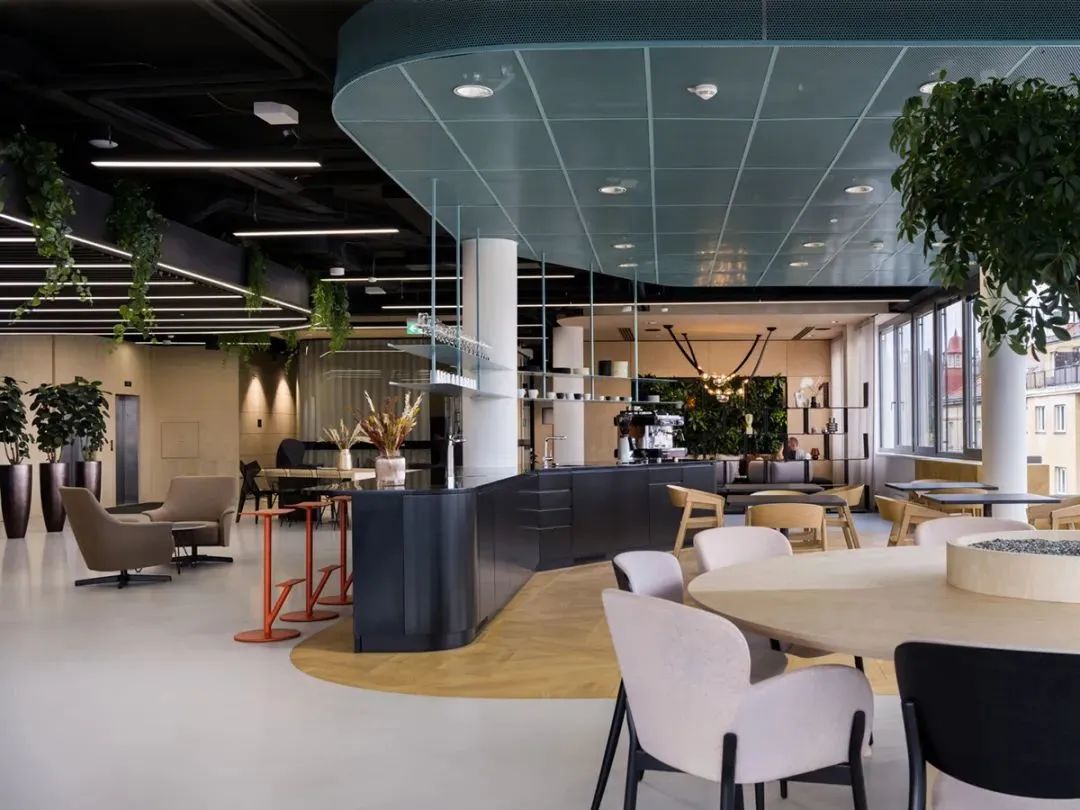 捷克Cape·us办公室丨Capexus-28