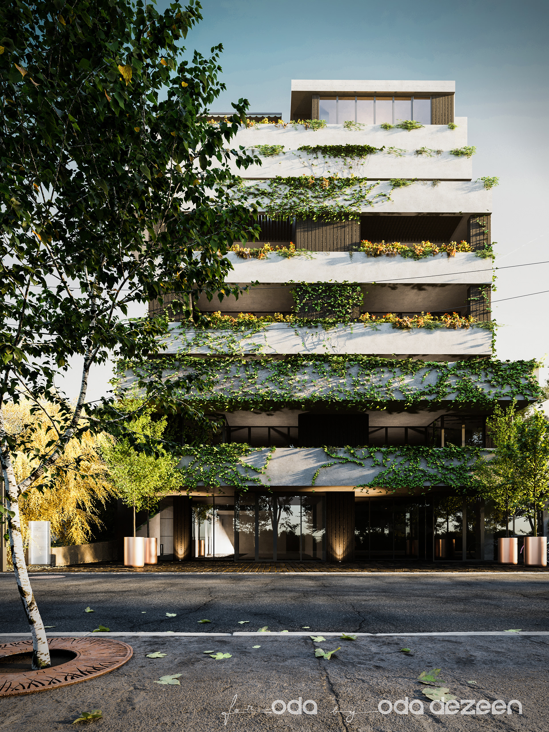 Gamrekeli 公寓丨ODA-3