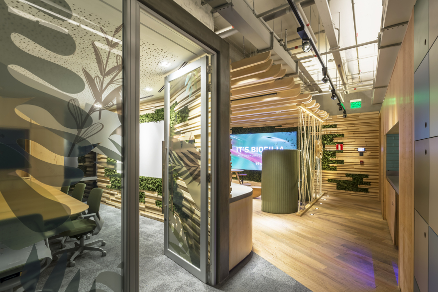 巴西 IT'S 公司生物亲和力办公室-11