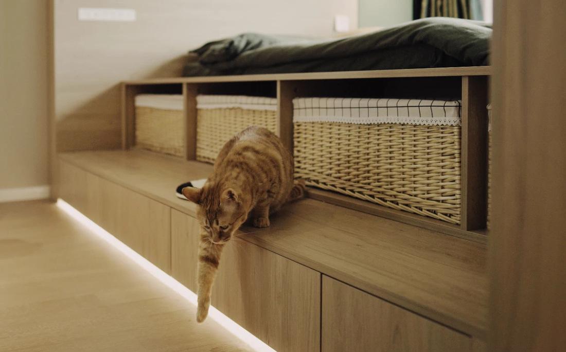 喵星人的温馨家园丨中国重庆丨不详-99