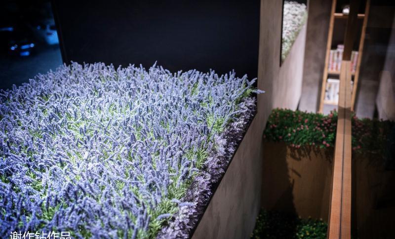 
杨小宝捞烫实景图 -0