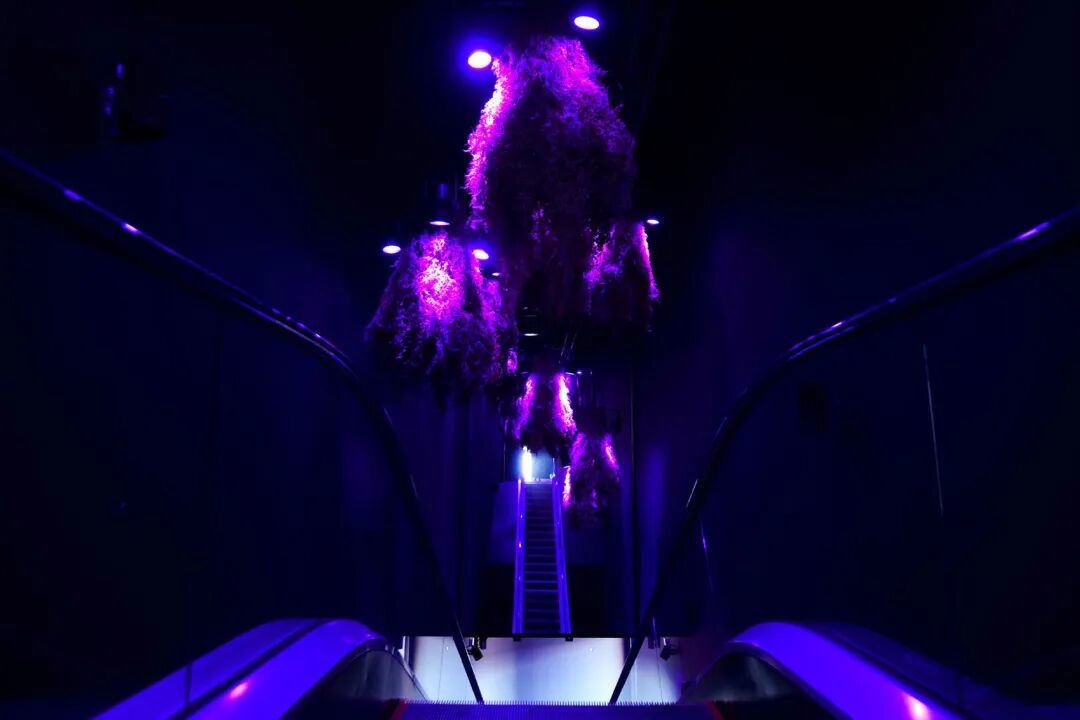 GSMProject|2025大阪世博会法国馆沉浸式展览-54