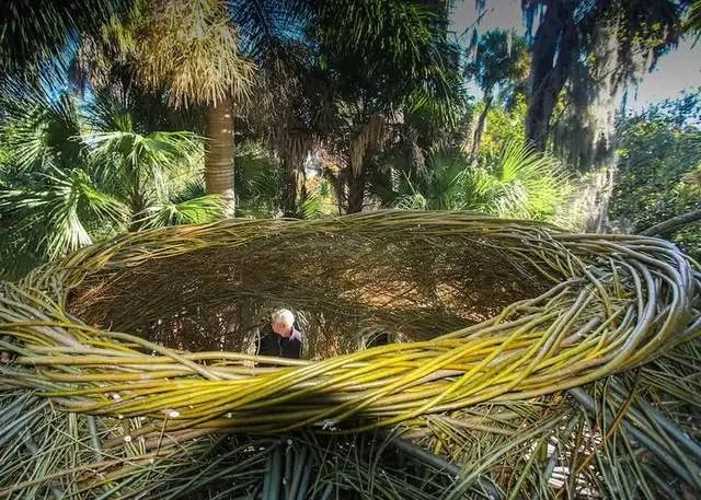 森林幻想家 | Patrick Dougherty 的树枝艺术-11