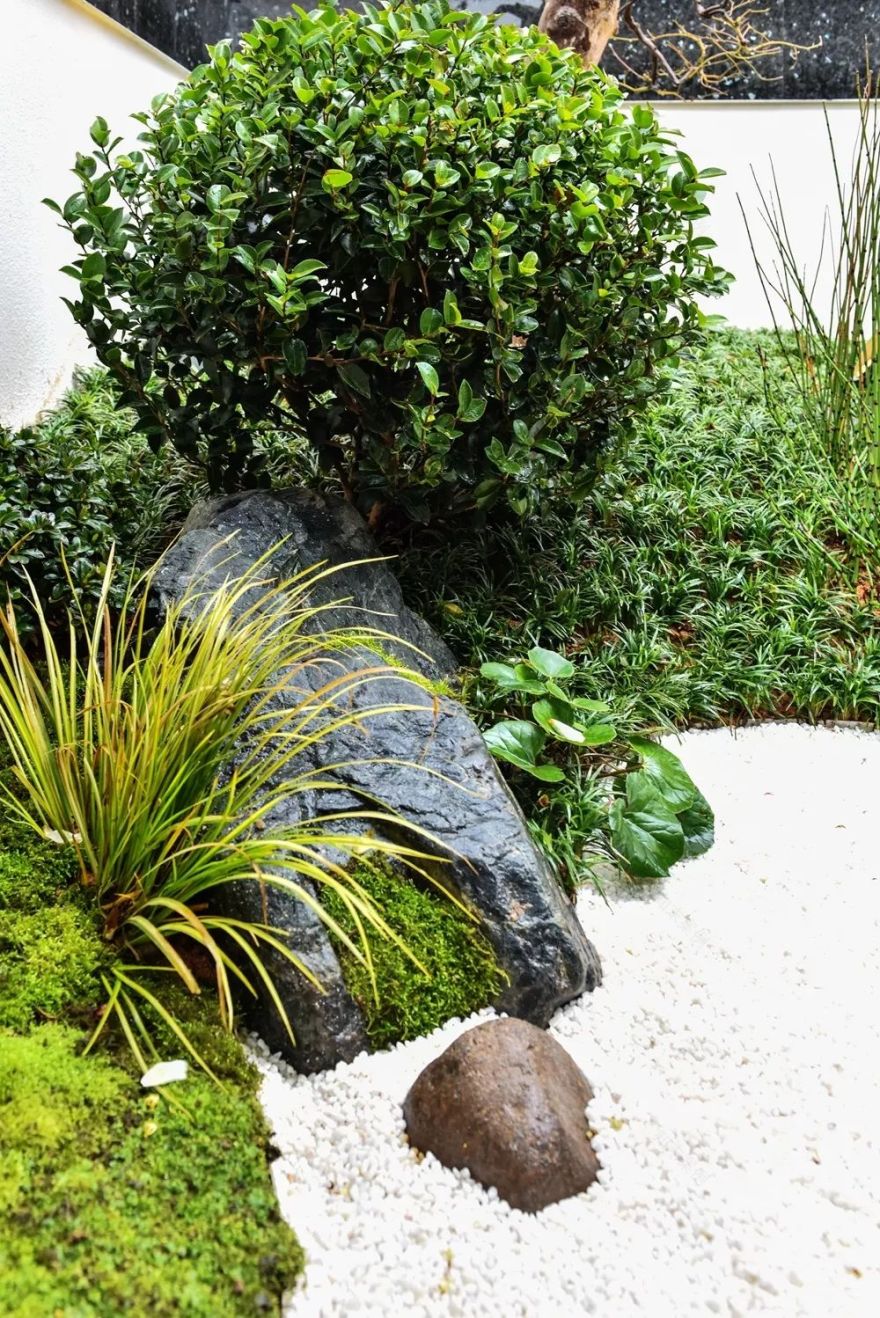 草月流打造禅意花园,呈现桃李春风美景-13