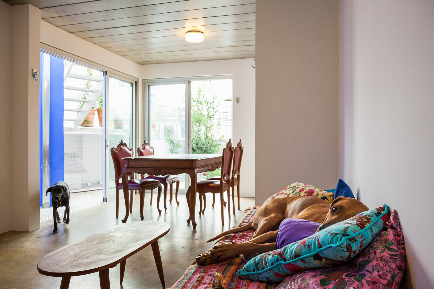 巴西圣保罗CCF住宅-39