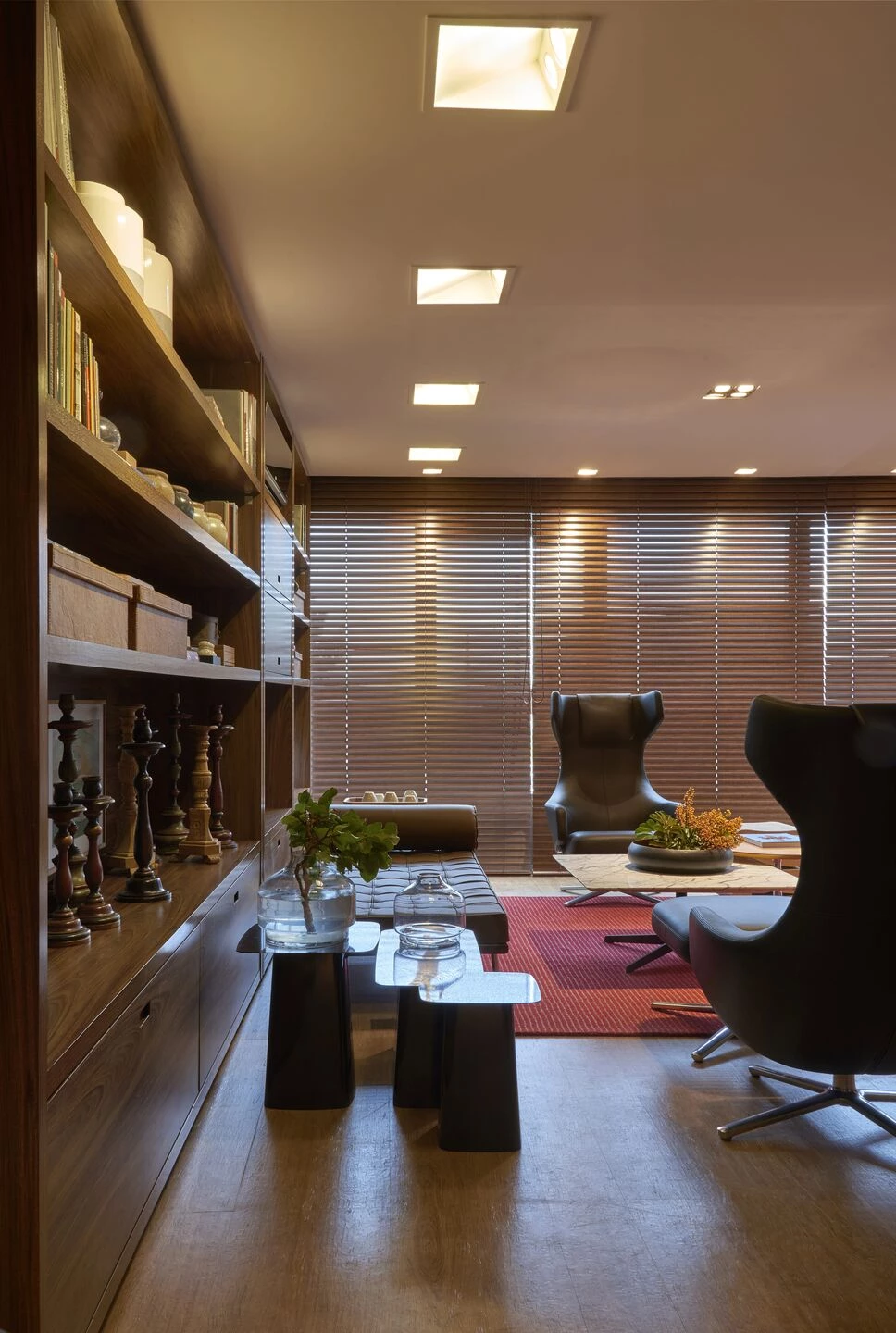 精神分析学家办公室丨巴西-24