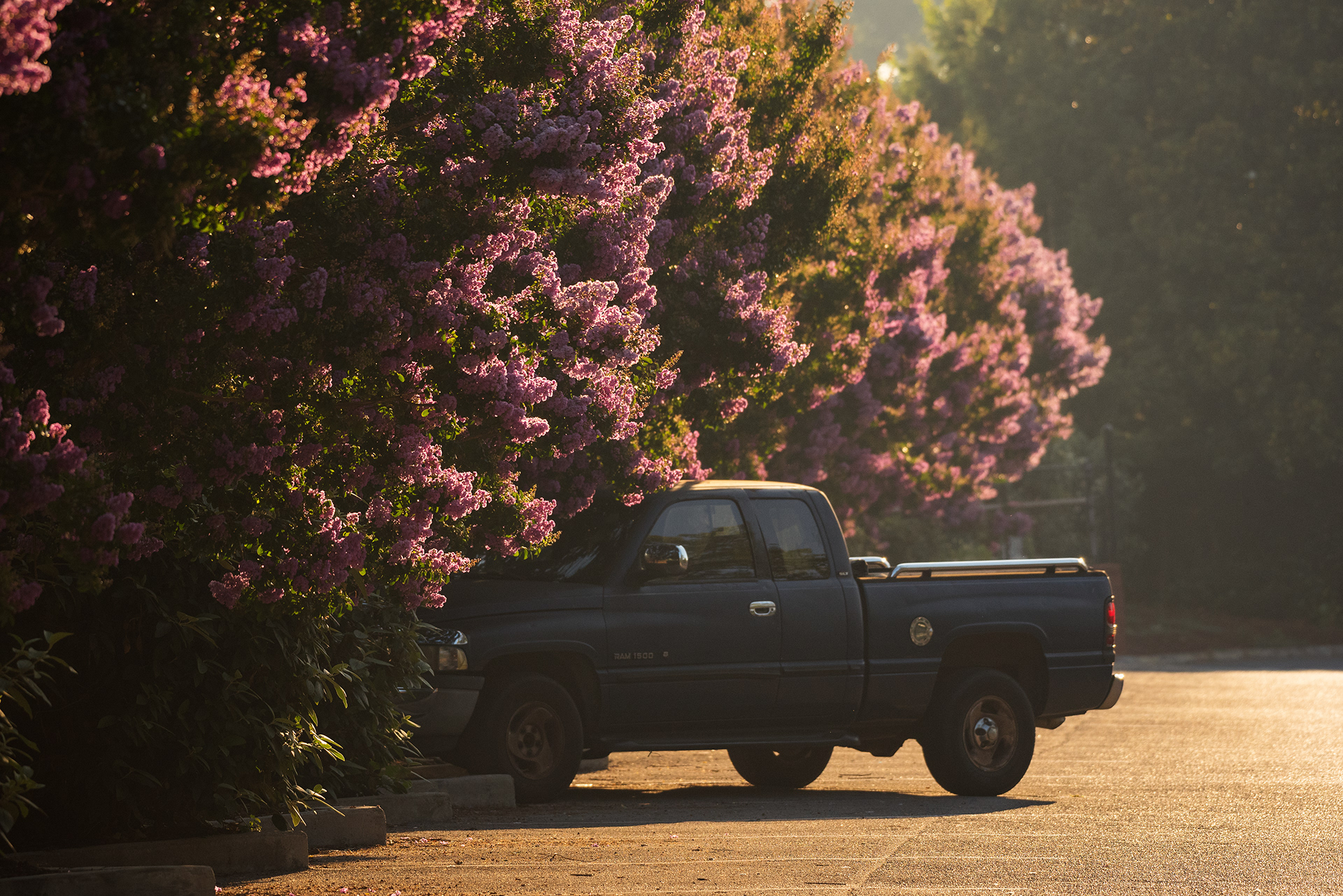 Knoxville, TN (USA).-50