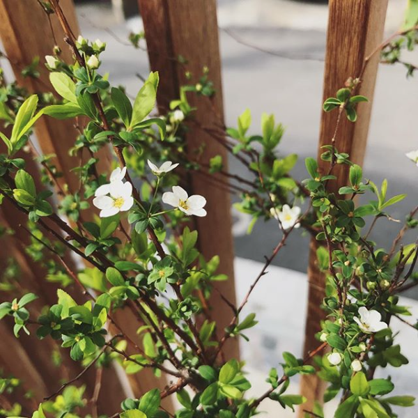 丨こぢこぢ一級建築士事務所-15