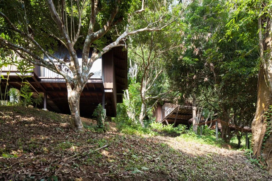 670㎡度假村 | 原生态木工作坊,Glenn Murcutt 式偏远地区建筑技巧-29