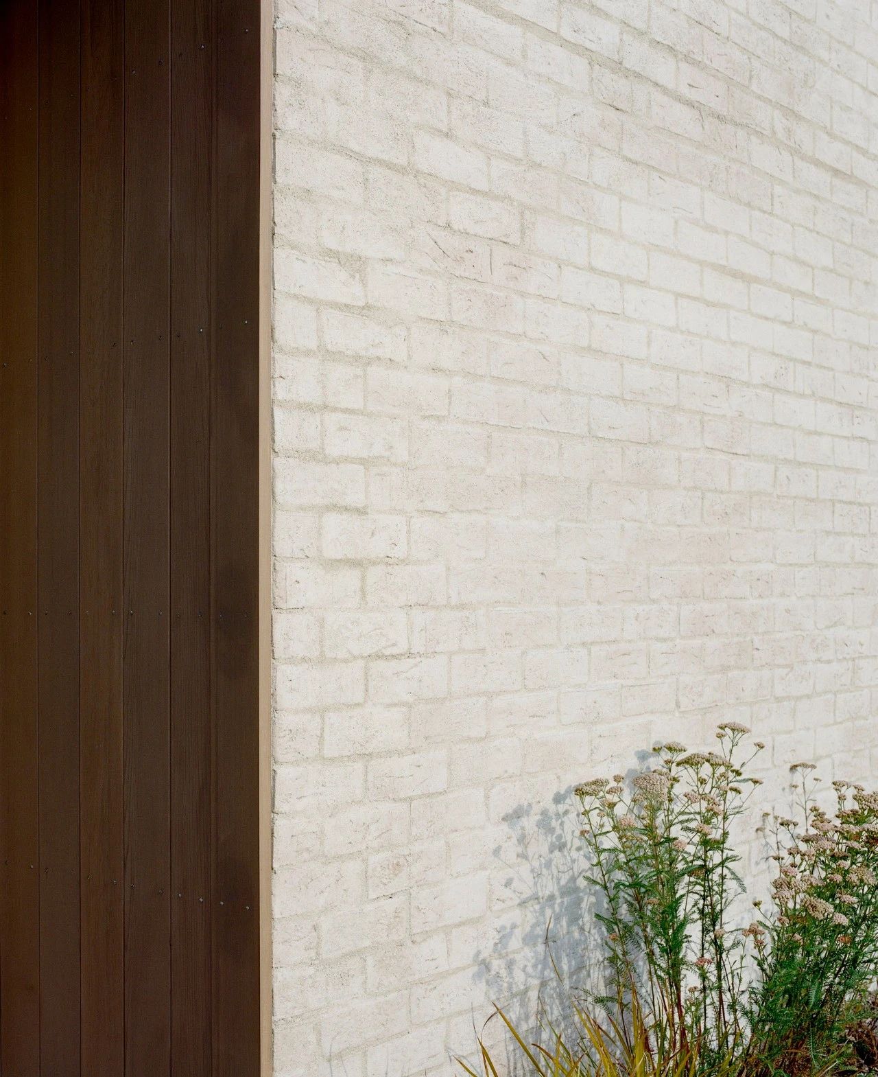 无相之相丨澳大利亚悉尼丨Lachlan Seegers Architect-61