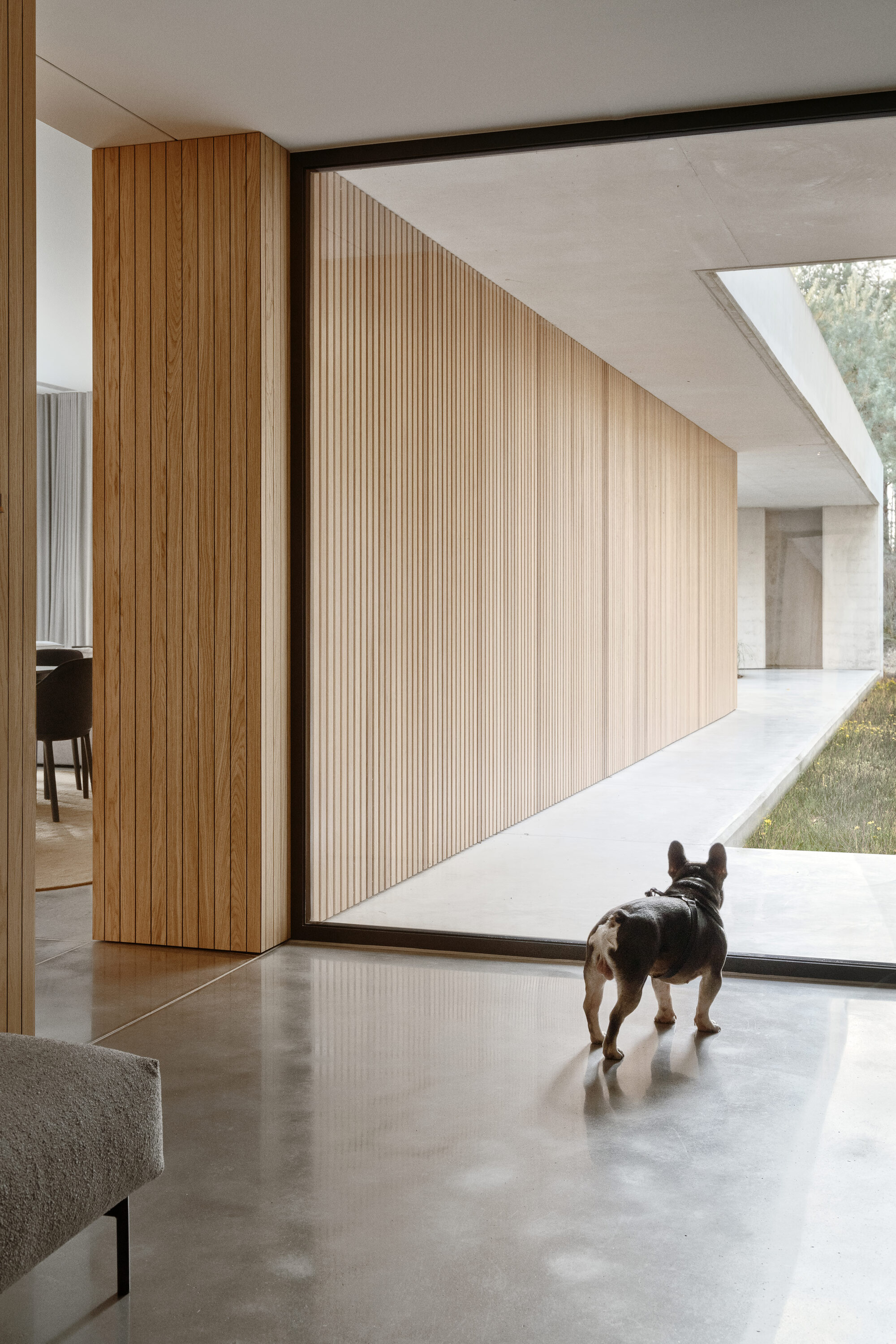 森林混凝土住宅丨波兰波兹南丨PL.Architekci-60