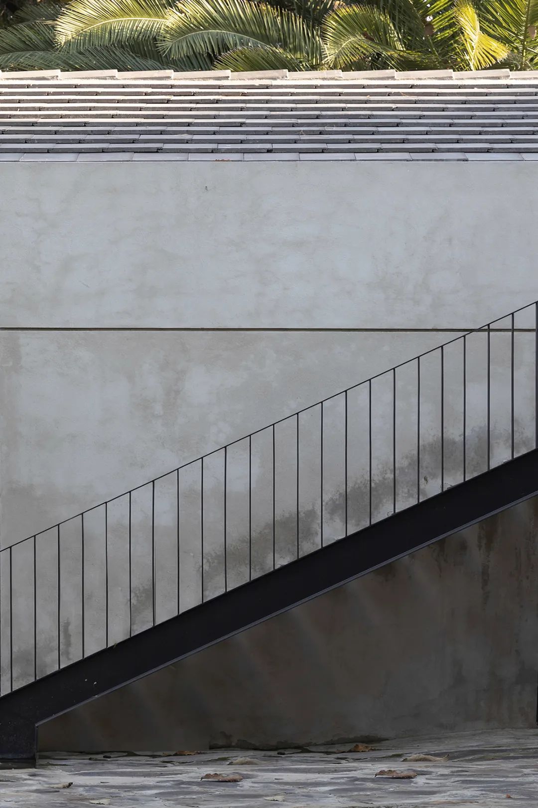 皮纳尔之家丨墨西哥丨V Taller-13